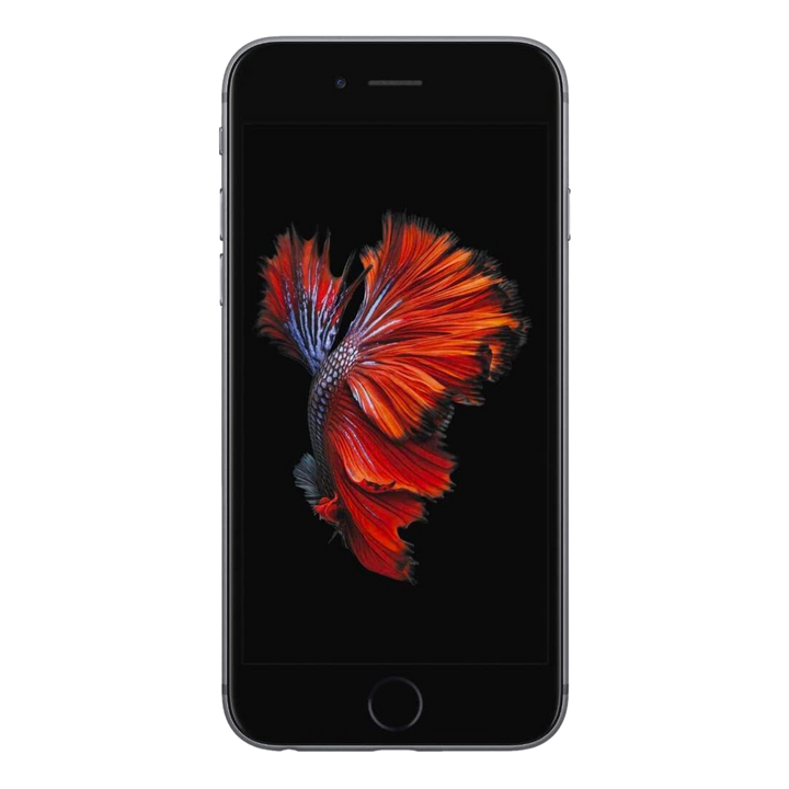 iPhone 6s.